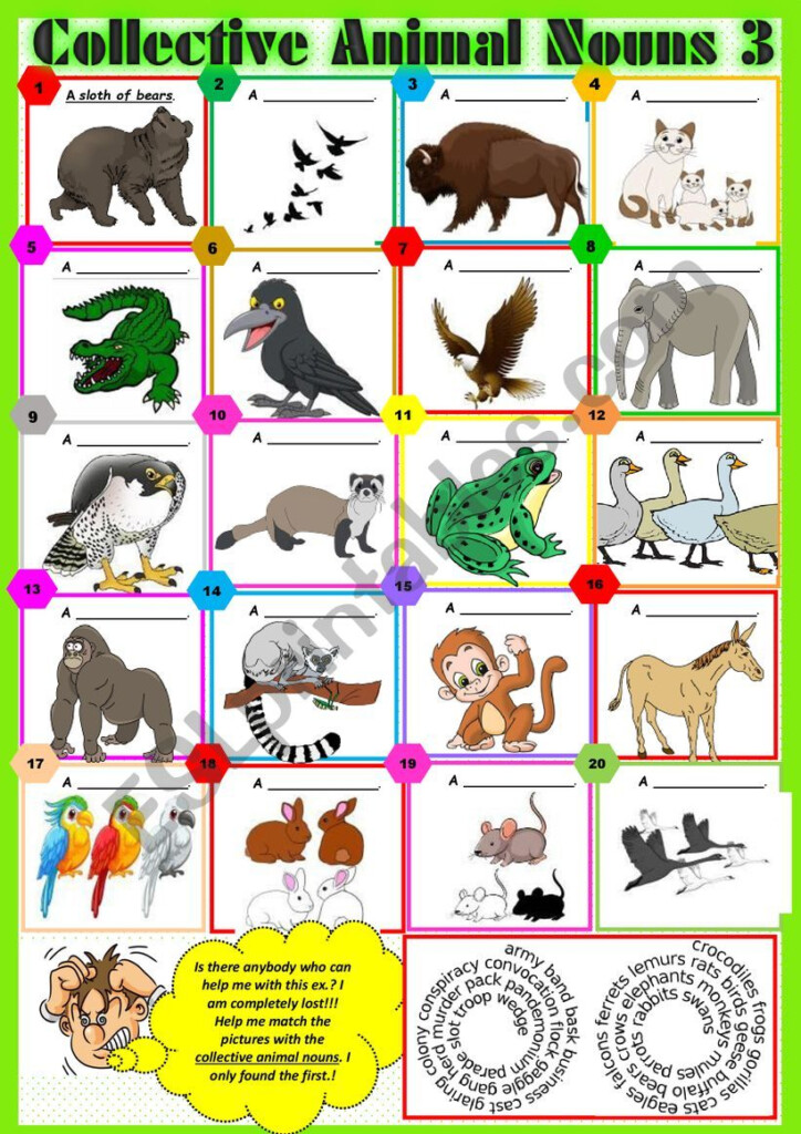 COLLECTIVE ANIMAL NOUNS 3 Exercises KEY ESL Worksheet By Karagozian - Collective Nouns For Animals Worksheet