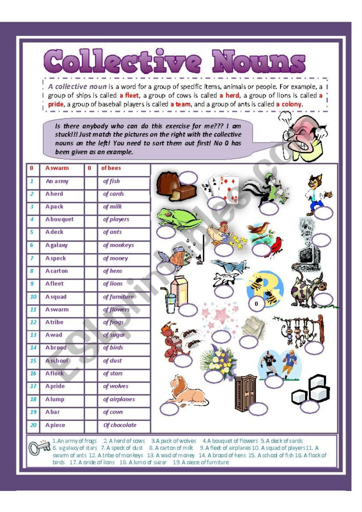 Collective Nouns ESL Worksheet By Nasreddine Sarsar - Collective Nouns Worksheets Esl