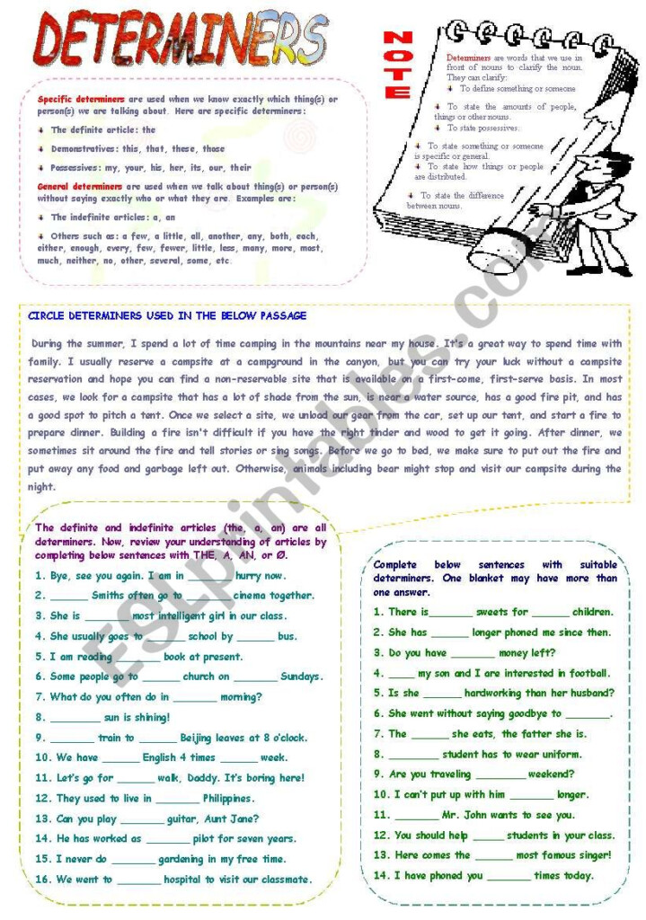 Determiners Worksheet For Grade 5 - Noun Determiners Worksheet For Grade 5