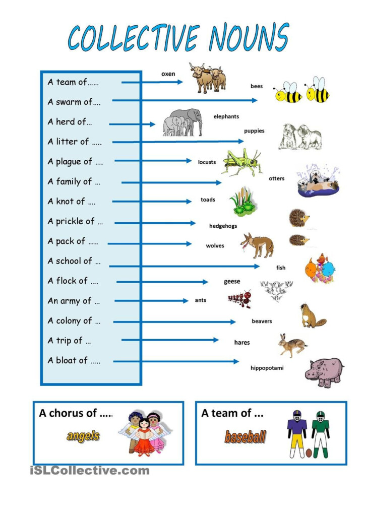 Free Collective Noun 2nd Grade Worksheets - Collective Nouns 2Nd Grade Worksheets