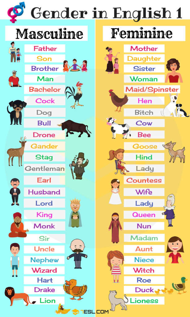 Gender Nouns Worksheet For Grade 3 - Gender Nouns Worksheet For Grade 3