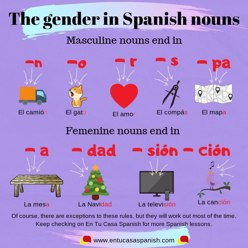 Gender Of Spanish Nouns Free Test Included En Tu Casa Spanish - Gender Of Nouns In Spanish Worksheet Answers