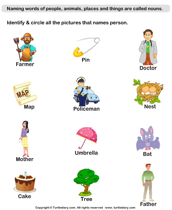 Identify Person Nouns Turtle Diary Worksheet - Noun Person Worksheet