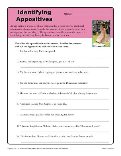 Identify The Appositives Printable Appositive Worksheets - Appositive Nouns Worksheet Pdf