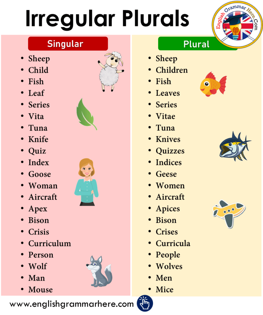 Irregular Plural Nouns Activity - Irregular Plural Nouns And Collective Nouns Worksheets