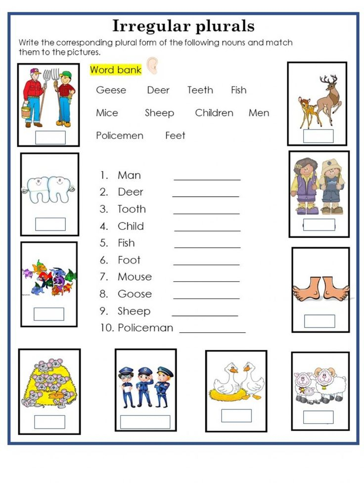 Plural Nouns First Grade Worksheet - Free First Grade Plural Nouns Worksheets