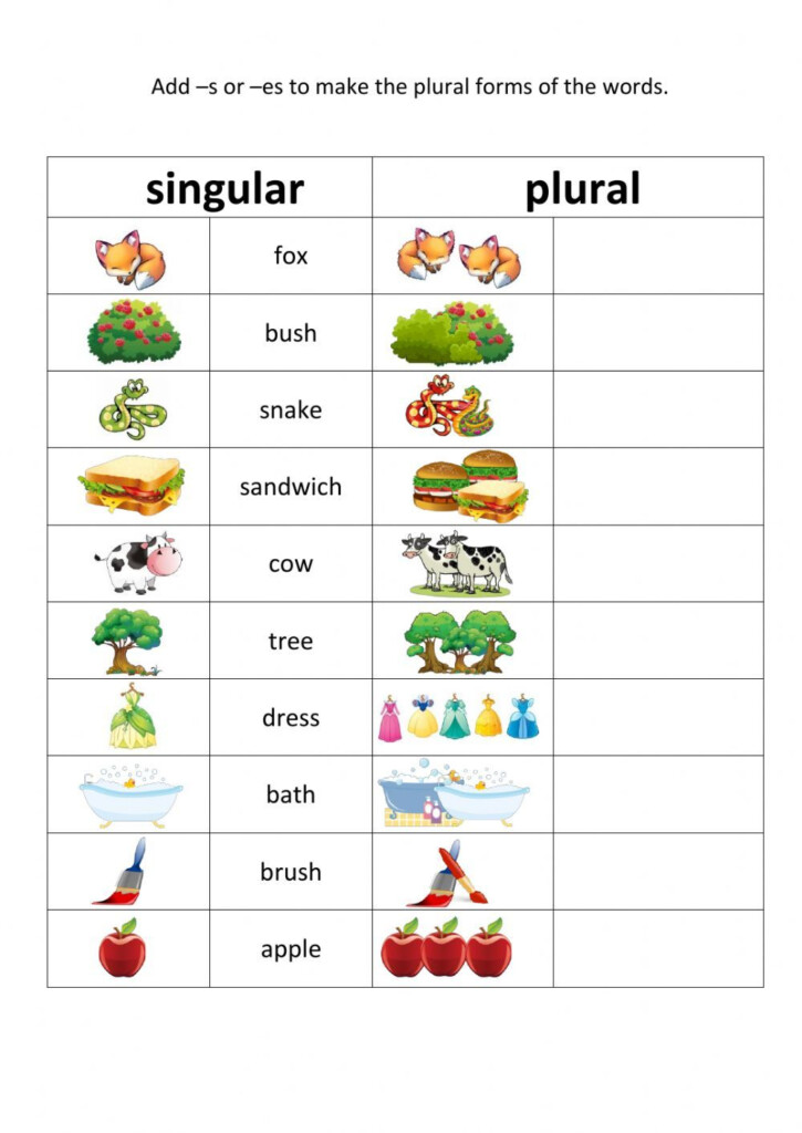 Plurals s Vs es Worksheet - Plural Nouns S Es Worksheet