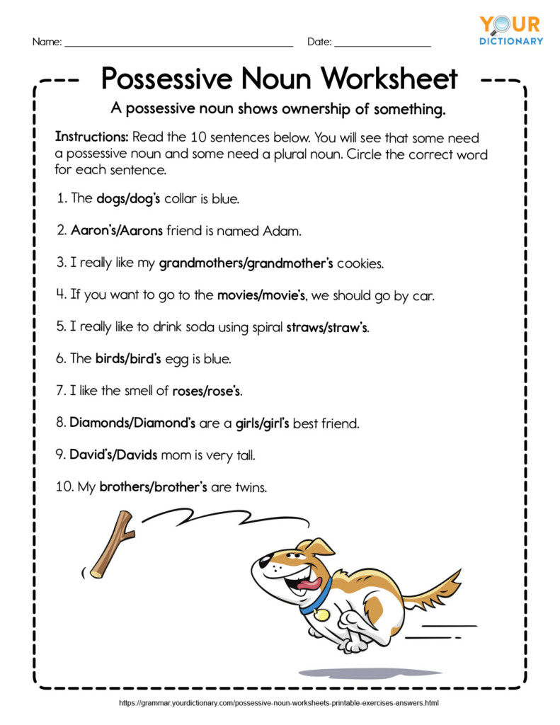 Possessive Noun Worksheets Printable Exercises With Answers - Possessive Nouns Worksheets Pdf