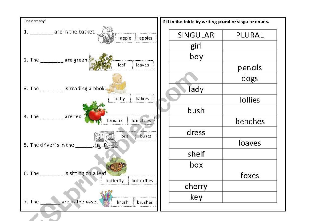 Singular And Plural Nouns Live Worksheet - Singular And Plural Nouns Live Worksheet