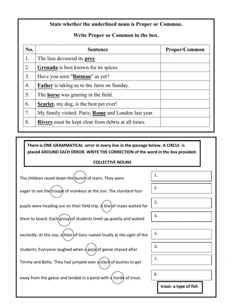 Types Of Nouns Proper Common Collective Nouns Worksheet  - Proper Noun Common Noun Collective Noun Worksheet