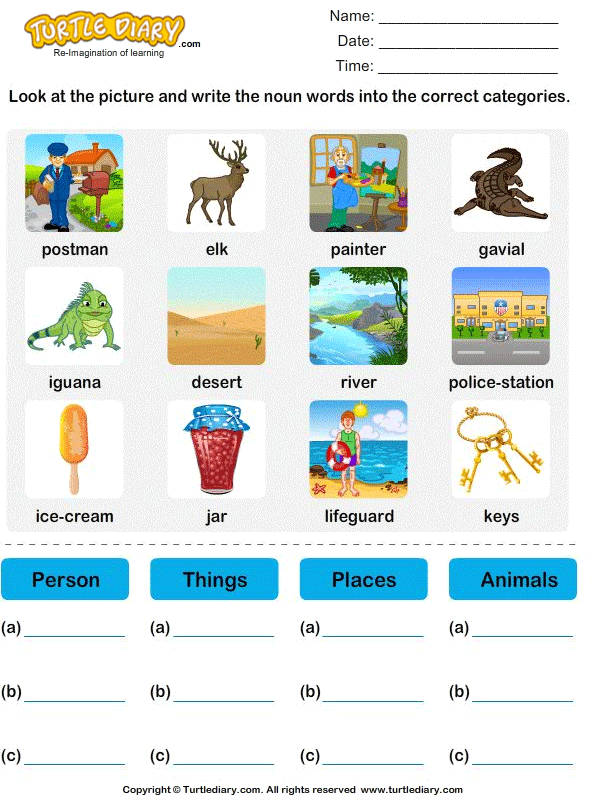 Write Nouns Into The Correct Categories Turtle Diary Worksheet - Noun Categories Worksheet