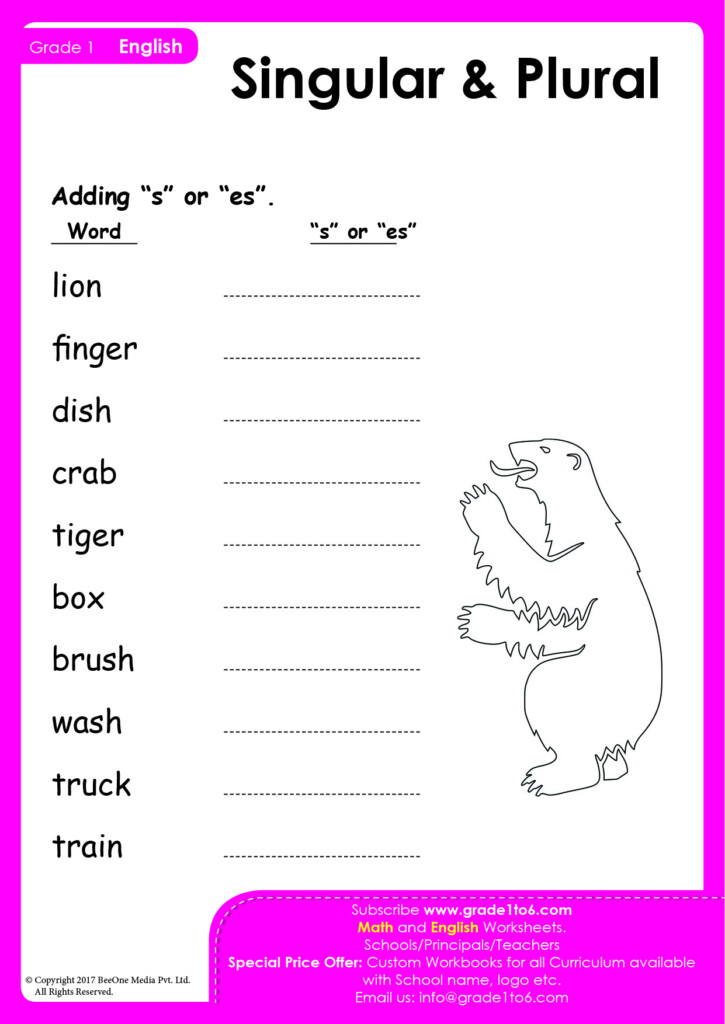 Adding S Or Es Singular Plural Worksheets - Adding S To Singular Nouns Worksheet