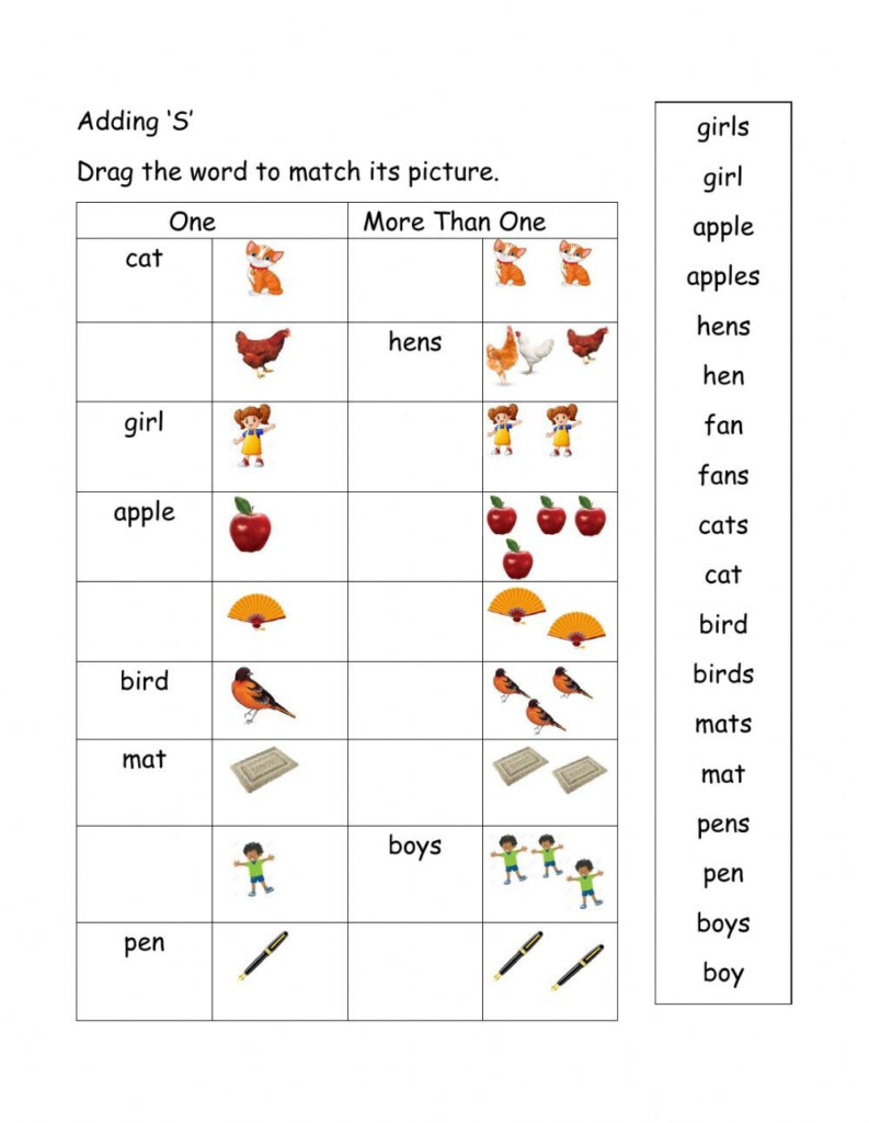 Adding S Worksheet Plurals Worksheets English Worksheets For  - Adding S Plural Nouns Worksheet