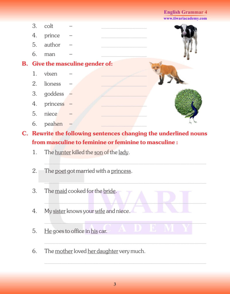 CBSE NCERT Class 4 English Grammar Chapter 6 Noun s Gender In PDF  - Gender Nouns Worksheets 4Th Grade