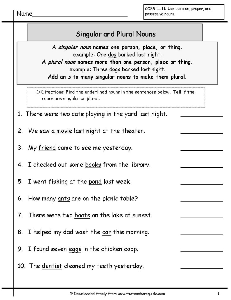 Change Singular To Plural Exercises - Change Singular Nouns To Plural Nouns Worksheet