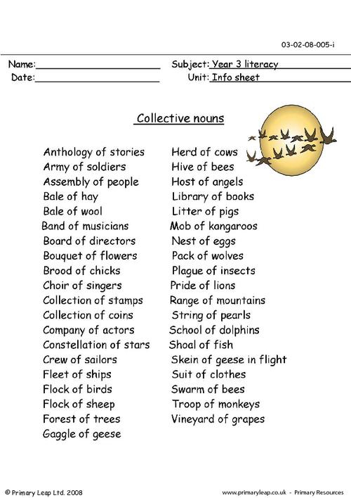 Collective Nouns Worksheets For Grade 7 - Collective Noun Worksheets For Grade 7