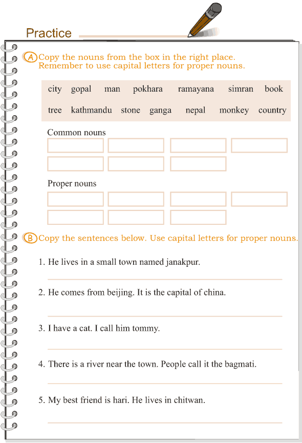 Common Noun Worksheet For Class 3 - Common Noun Worksheet For Class 3