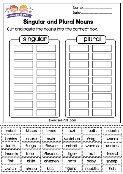 Cut And Paste The Nouns Into The Correct Box Exercises PDF - Miscellaneous Nouns Worksheet