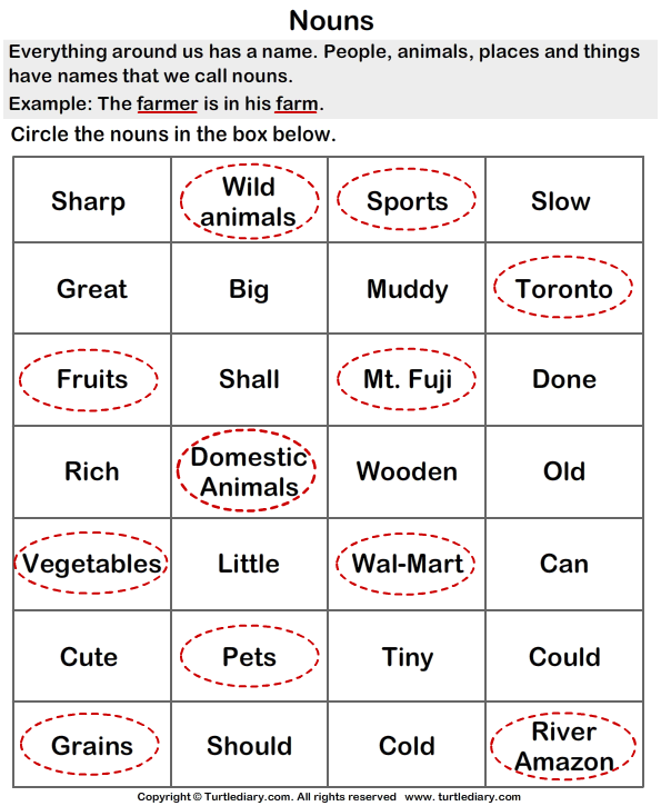 Find And Circle The Nouns Worksheet Turtle Diary - Circle The Nouns Worksheets With Answers