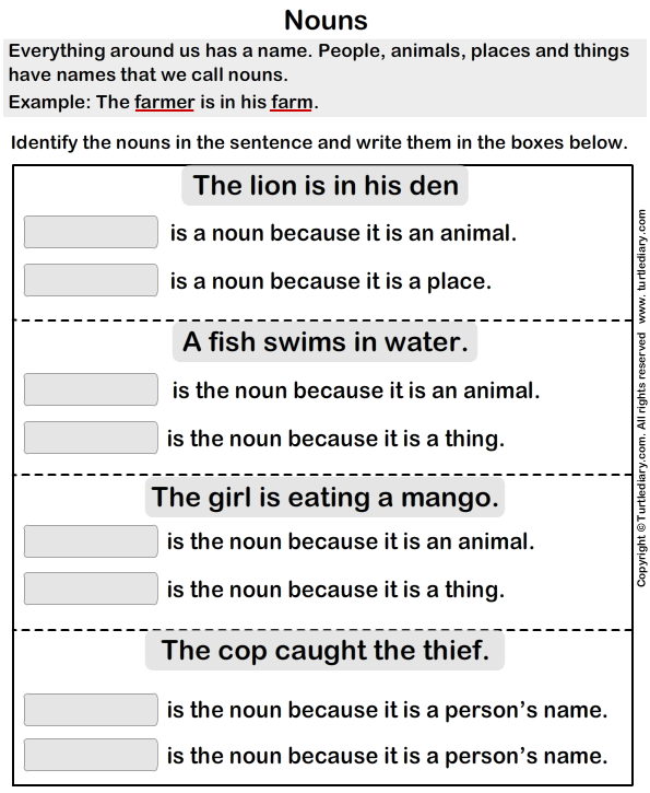 Finding Nouns In A Paragraph Turtle Diary Worksheet - Finding Nouns In A Paragraph Worksheets