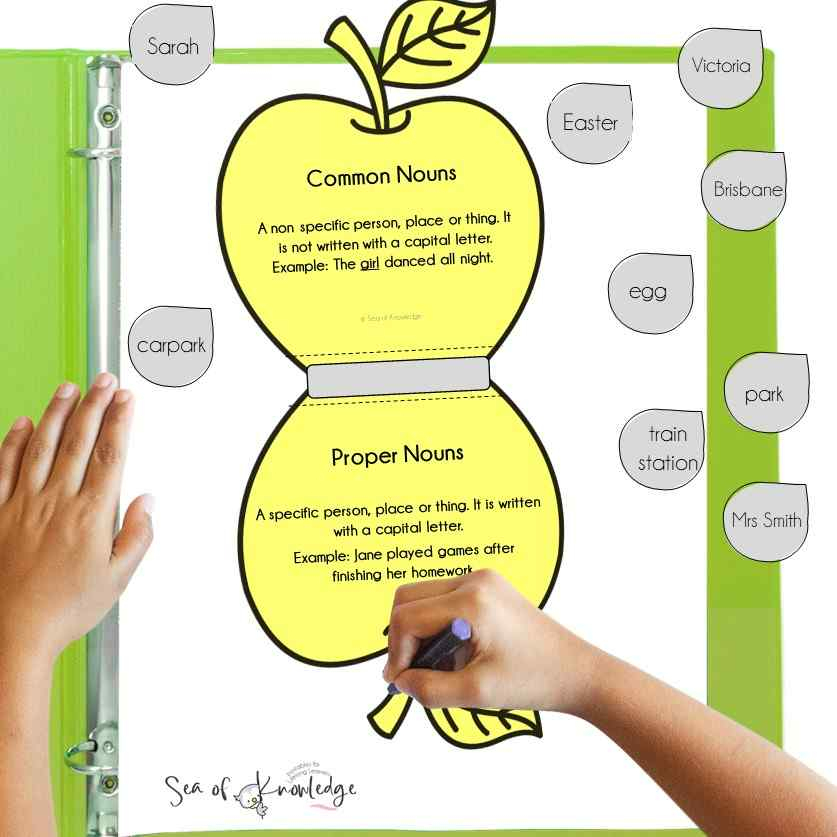 Free Common And Proper Noun Lesson Plan With Printable Activities And  - Nouns Abound In The Classroom Worksheet