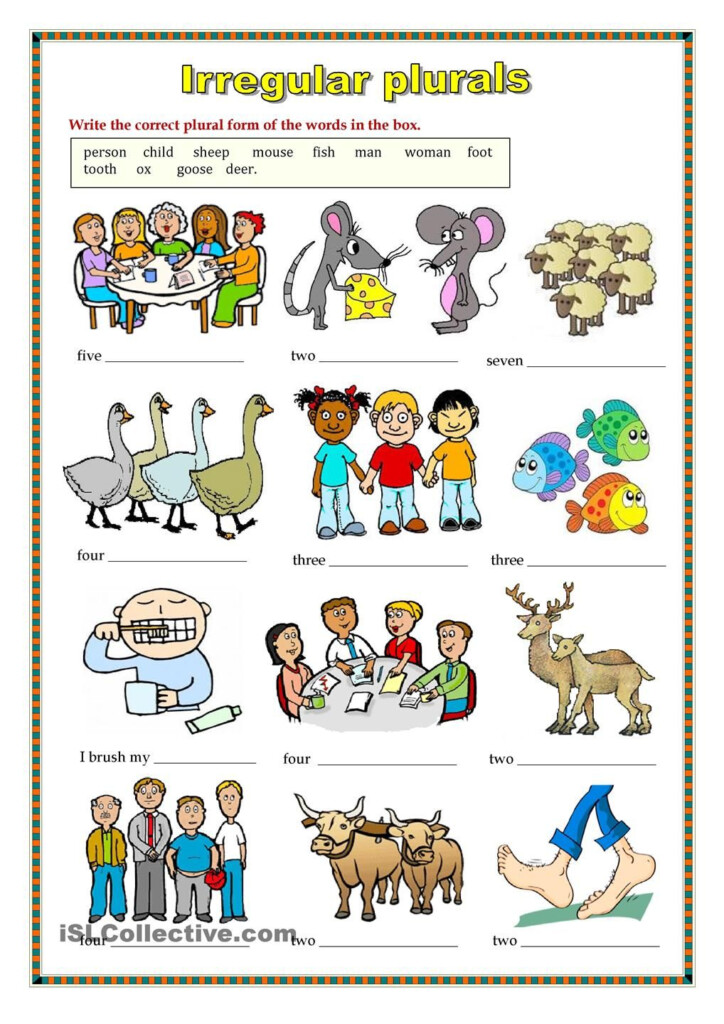 Free Printable Irregular Plural Worksheets - Irregular Plural Nouns Worksheet Daily Warm Up