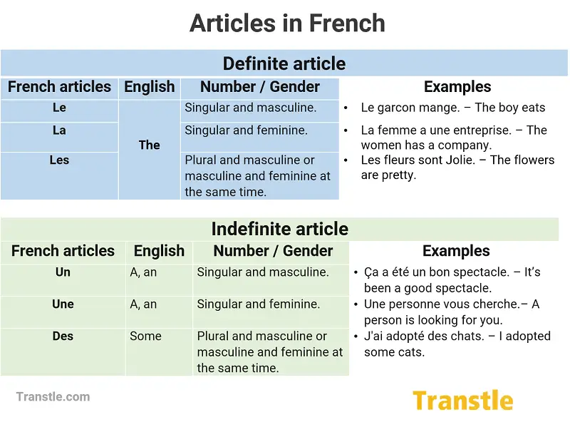 French Articles List Grammar Examples Exercises Transtle - French Worksheet Indefinite Articles And Plural Of Nouns