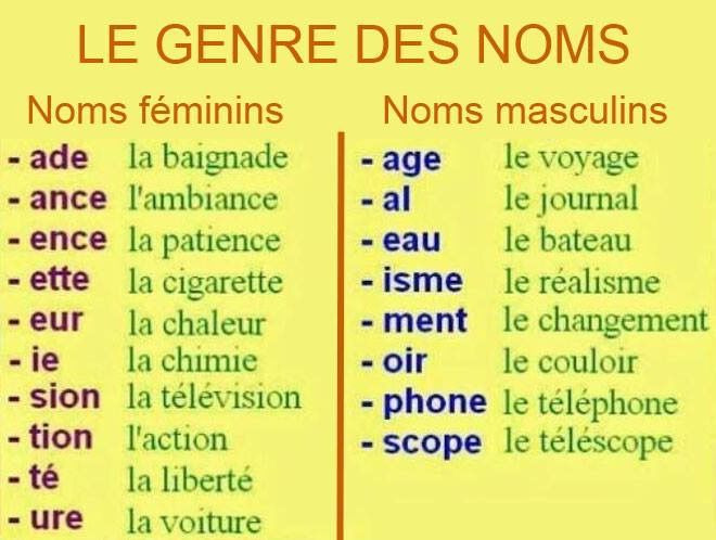 French Grammar The Gender Of Nouns French Words Learn French  - French Noun Gender Worksheets