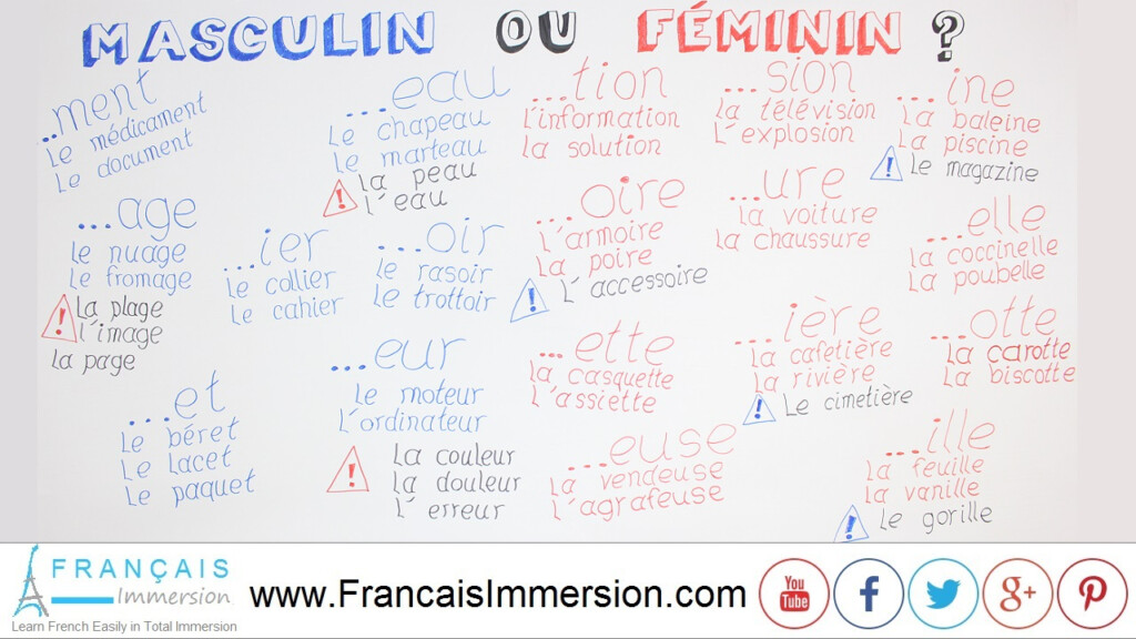 French Nouns Gender Of Nouns Masculine Feminine Fran ais Immersion - French Noun Gender Worksheets