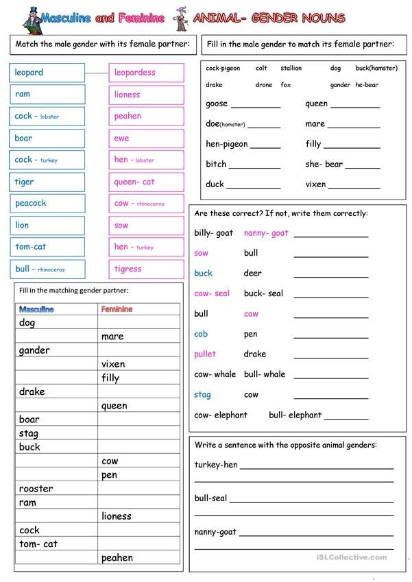 Gender Nouns Worksheet For Grade 3 - Gender Of Nouns Worksheets Pdf Grade 3