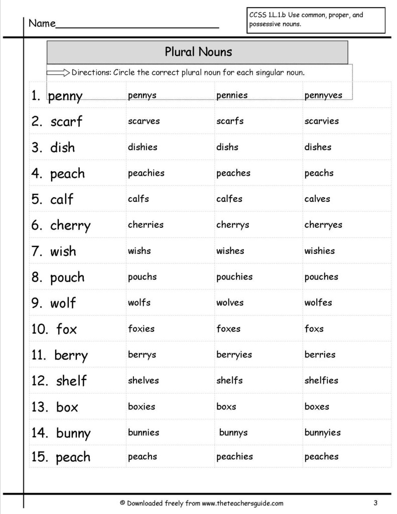 Grade 2 Irregular Plural Nouns Worksheet - Irregular Plural Nouns Worksheets 2Nd Grade