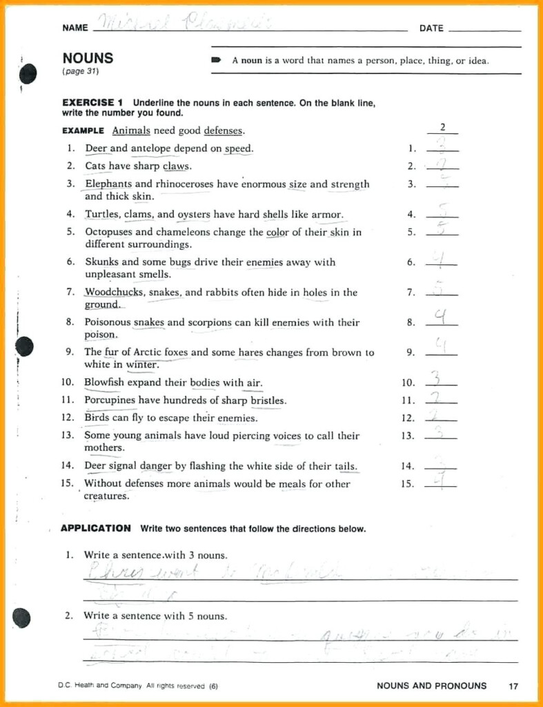 Grammar Worksheets For 6th Grade Nouns - Nouns 6Th Grade Worksheet