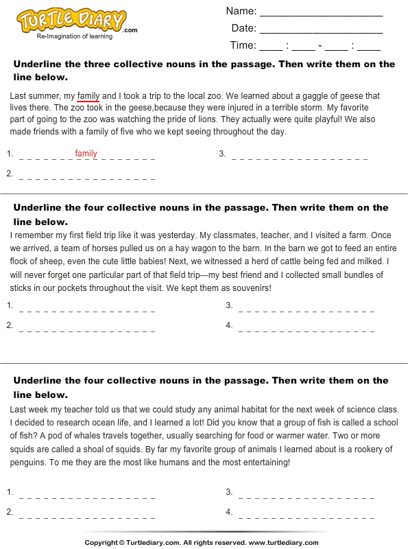 Identify Collective Nouns In The Passage Turtle Diary Worksheet - Identify The Nouns In This Passage Worksheet