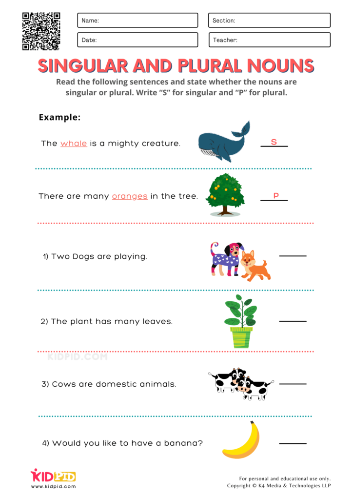 Identify Singular And Plural Nouns Printable Worksheets For Grade 1  - Singular And Plural Nouns Worksheets