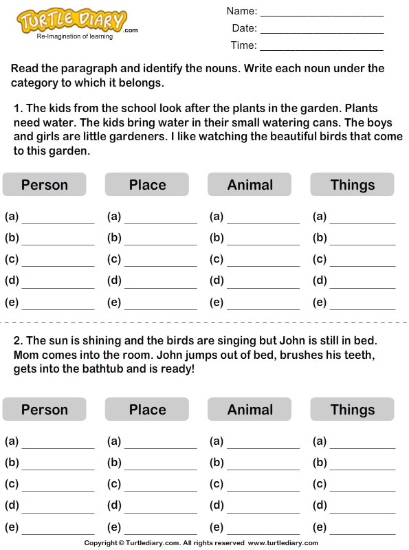 Identifying Nouns In A Paragraph Turtle Diary Worksheet - Identifying Nouns In A Paragraph Worksheet