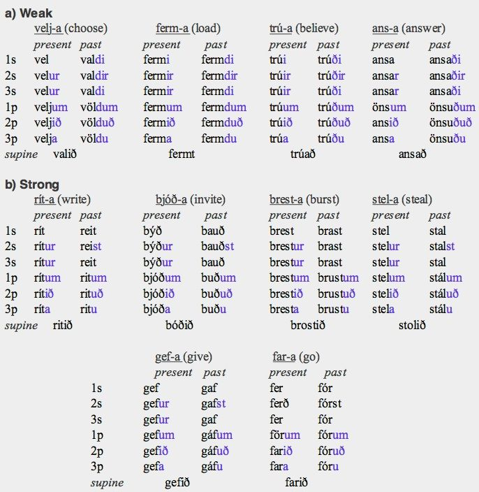 Image Result For Weak Nouns In German Nouns Learning Languages Iceland - German Weak Noun Worksheet