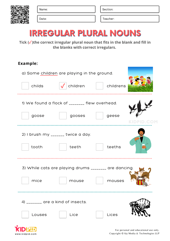 Irregular Plural Nouns Printable Worksheets For Grade 2 Kidpid - Irregular Plural Nouns Worksheet