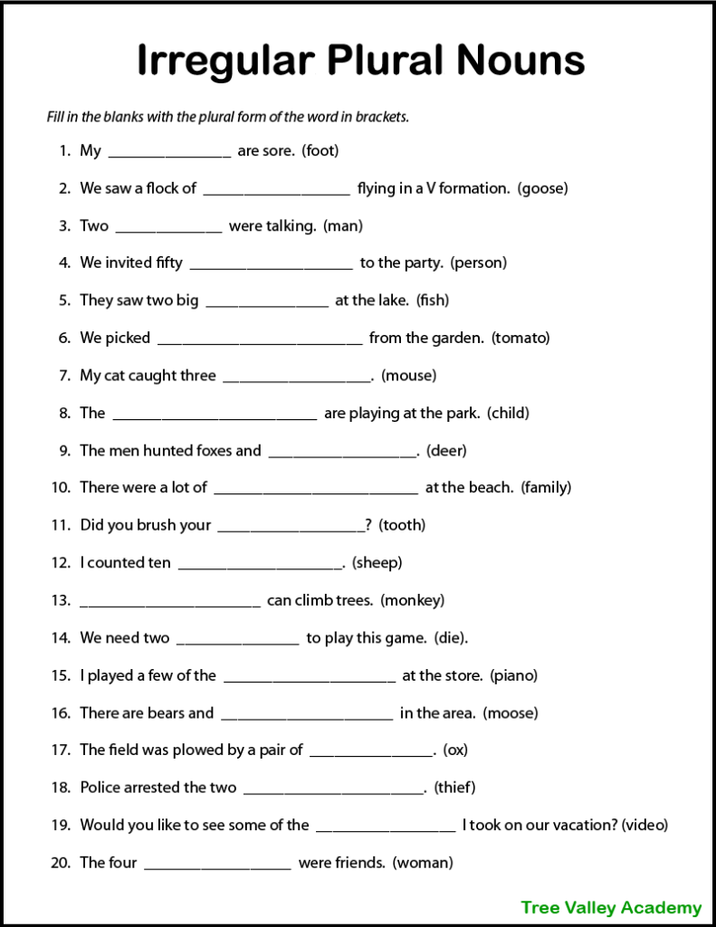 Irregular Plural Nouns Worksheet 5th Grade - Irregular Nouns Worksheet 5Th Grade