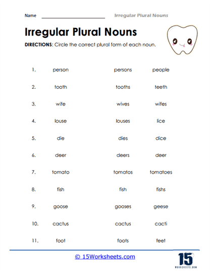 Irregular Plural Nouns Worksheets 15 Worksheets - Irregular Plural Nouns Worksheet Daily Warm Up