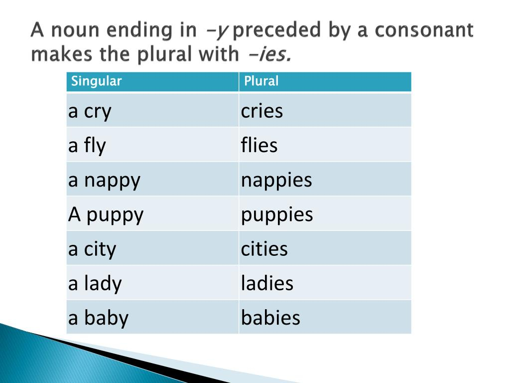 Nouns That End In Y - Change Nouns Ending In Y To Ies Worksheet