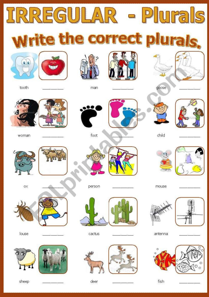 Plural Irregular Nouns ESL Worksheet By Shusu euphe - Irregular Plural Nouns Worksheets