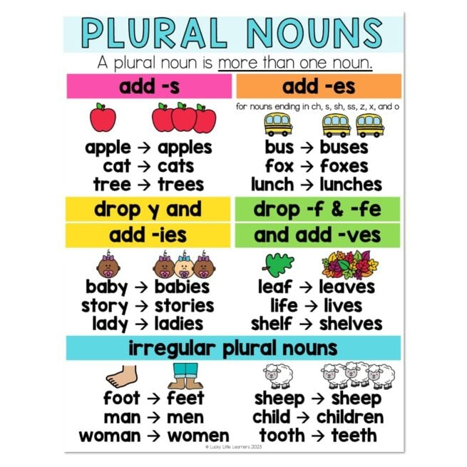 Plural Nouns Anchor Chart Lucky Little Learners - Plural Nouns That Change Spelling Worksheet