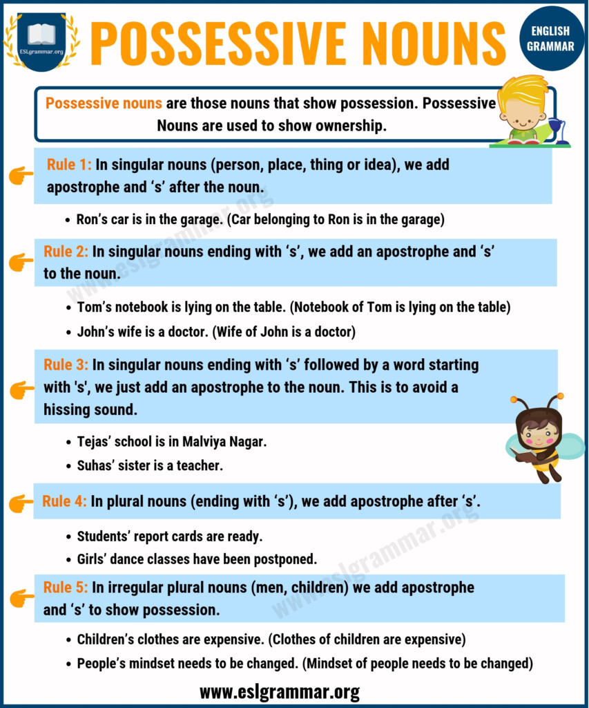 Plural Possessive Nouns Worksheet With Answers - Plural Possessive Nouns Worksheet