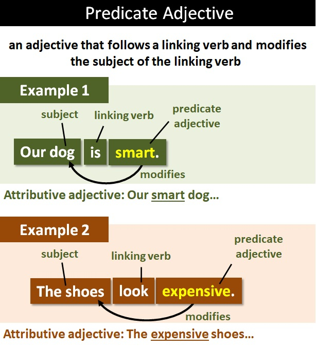 Predicate Noun Predicate Adjective Worksheet - Predicate Noun And Predicate Adjective Worksheet Pdf