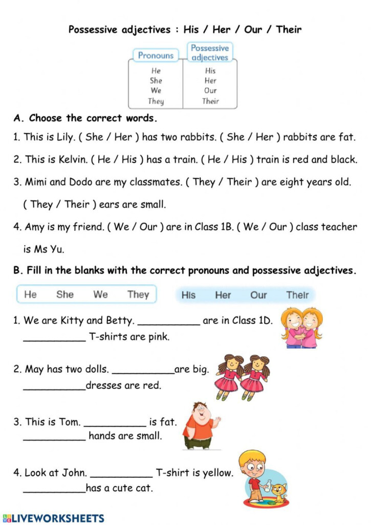 Pronouns And Pronoun Adjectives Worksheet Possessive Nouns Worksheets  - Noun Very Adjective Pronoun Worksheet