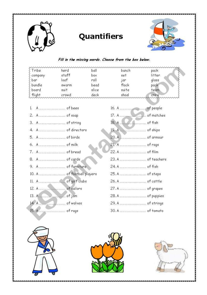 Quantifiers Worksheet For Grade 2 - Noun Quantifiers Worksheet For Grade 2