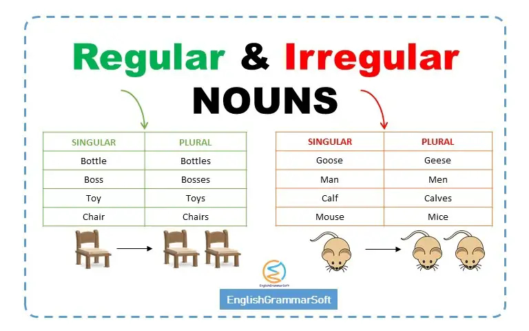 Regular And Irregular Nouns Rules Examples Lists Worksheet  - Irregular And Regular Nouns Worksheet