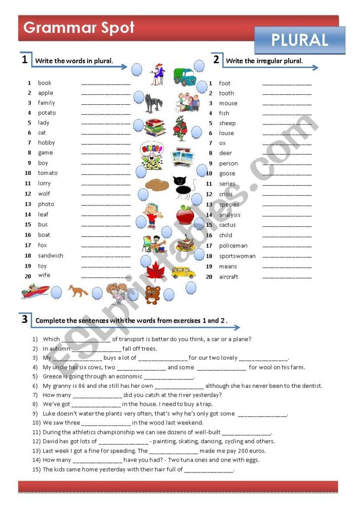 REGULAR IRREGULAR PLURAL OF NOUNS ESL Worksheet By Renata75 - Irregular And Regular Nouns Worksheet