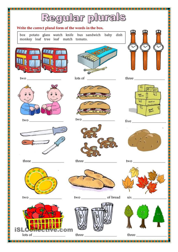 Regular Plural Nouns Worksheets - Identify Plural Nouns Worksheet