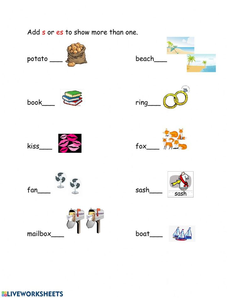 Singular And Plural Adding S Or Es Interactive Worksheet Plurals  - Adding S To Singular Nouns Worksheet